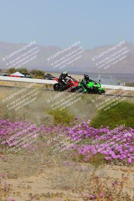 media/Feb-04-2023-SoCal Trackdays (Sat) [[8a776bf2c3]]/Turn 15 Inside Blooming (1050am)/